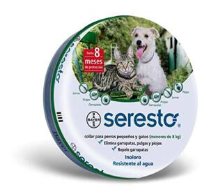 Catalogo De Collar Antipulgas Para Perros 8211 Solo Los Mejores
