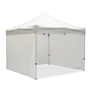 El Mejor Listado De Carpa Los Mas Solicitados