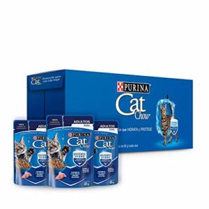 La Mejor Lista De Gato Felix Listamos Los 10 Mejores