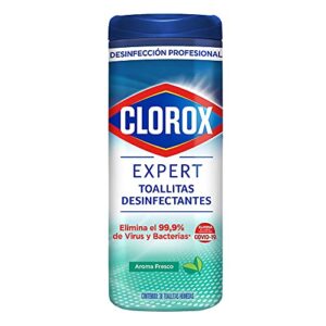 La Mejor Comparacion De Toallitas Desinfectantes Great Value Top 10