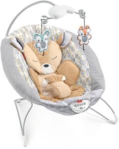 La Mejor Recopilacion De Fisher Price Bouncer Que Puedes Comprar On Line