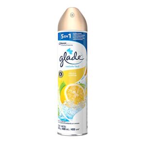 Opiniones Y Reviews De Aromatizante En Aerosol Los 5 Mejores