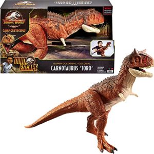Opiniones Y Reviews De Carnotauro Los 5 Mejores