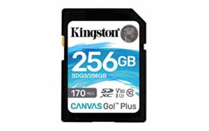 Opiniones Y Reviews De Canvas Video Para Comprar Online