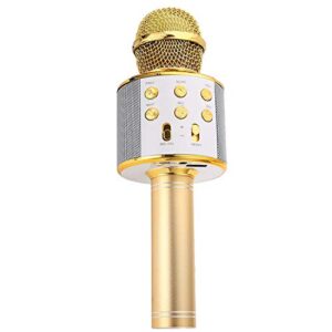 Opiniones De Microfono Con Bocina Mas Recomendados